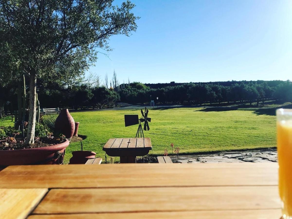 Olive Grove Guest Farm Vila Beaufort West Exterior foto
