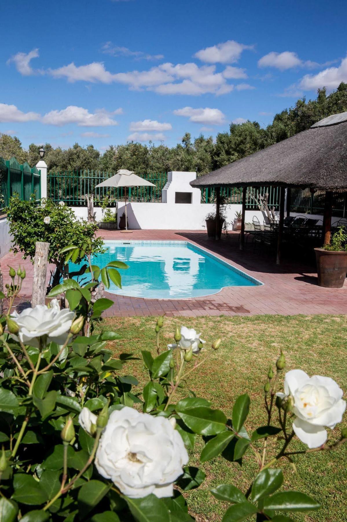Olive Grove Guest Farm Vila Beaufort West Exterior foto
